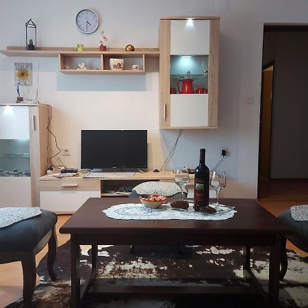Apartament Apartman Skender 3* Ravna Gora Zewnętrze zdjęcie