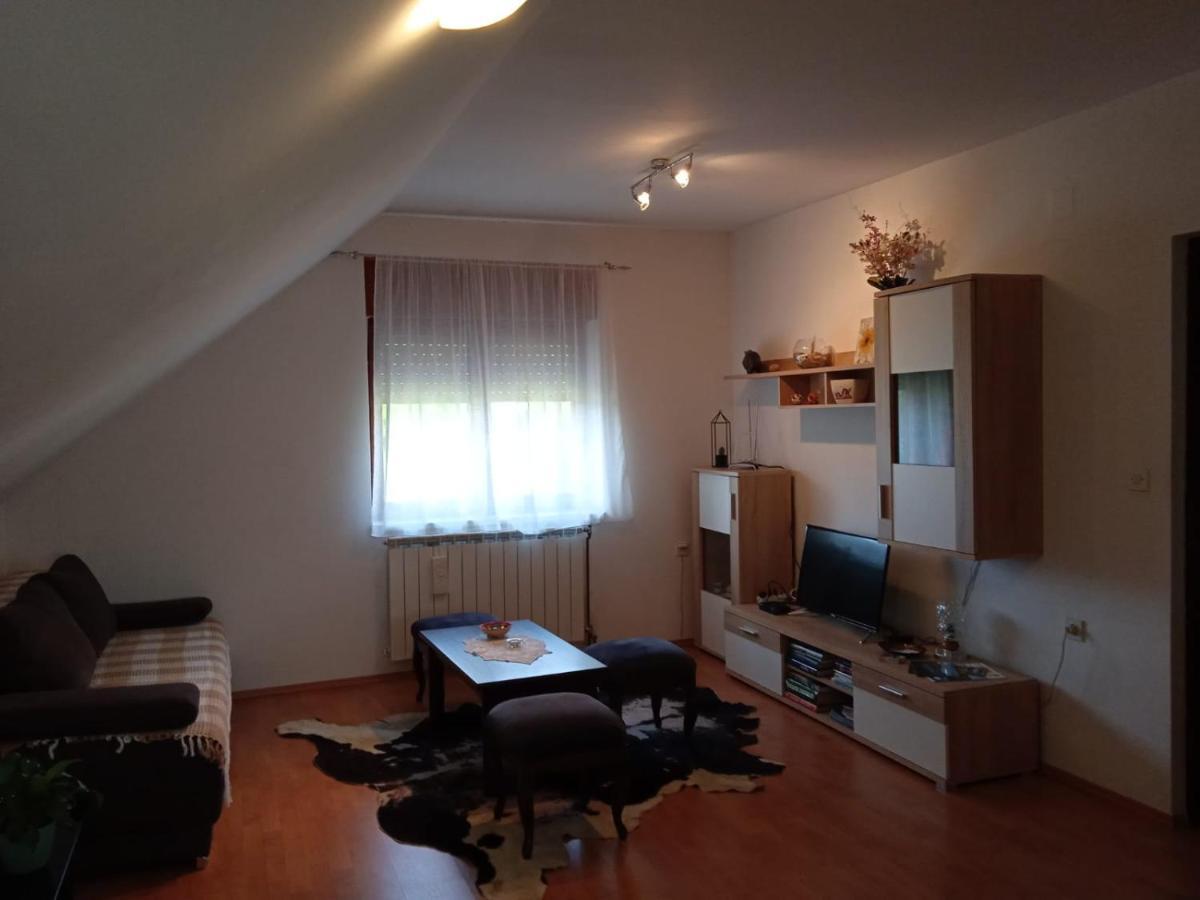 Apartament Apartman Skender 3* Ravna Gora Zewnętrze zdjęcie
