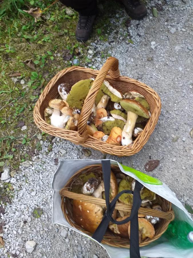 Apartament Apartman Skender 3* Ravna Gora Zewnętrze zdjęcie