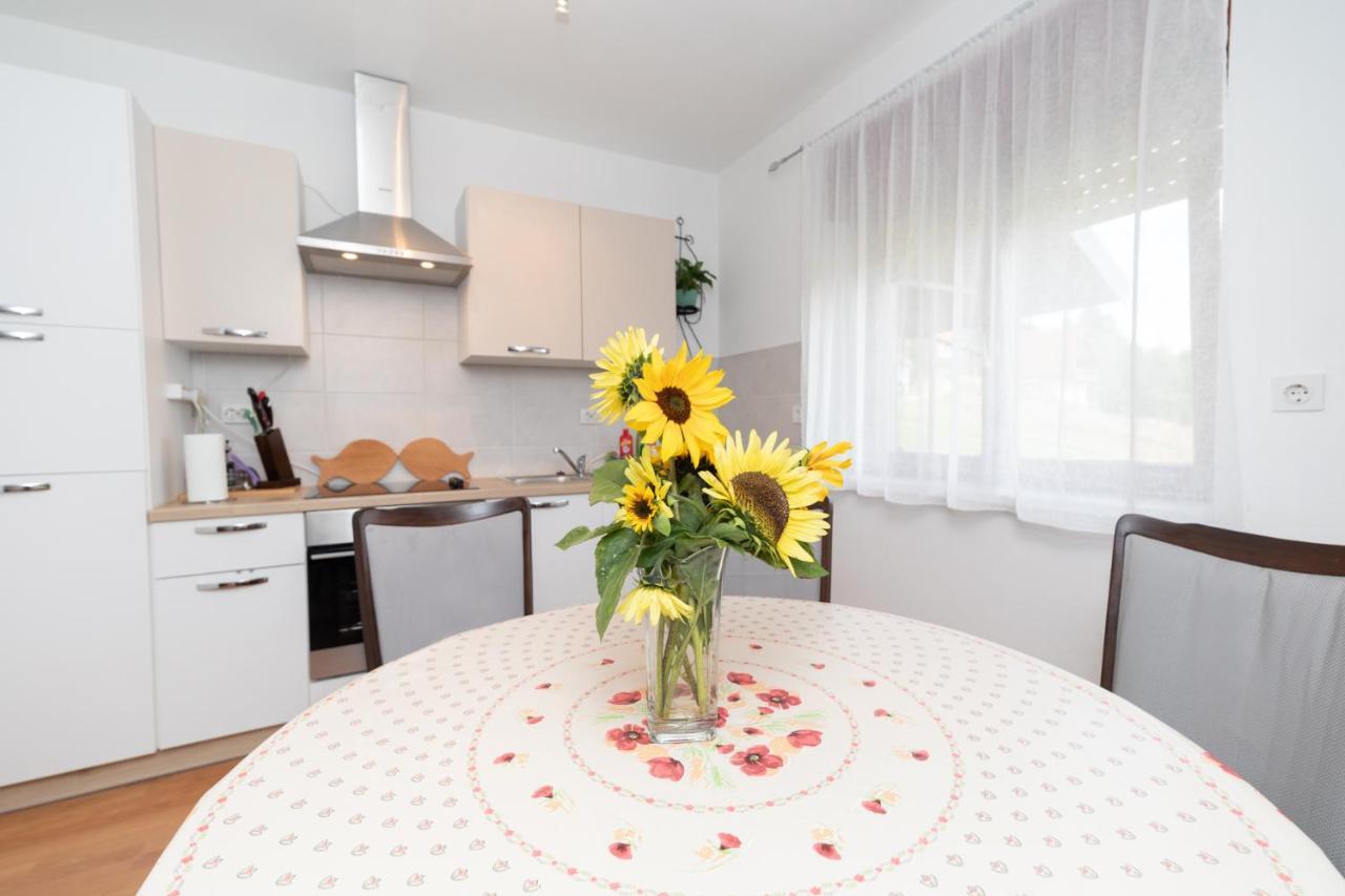 Apartament Apartman Skender 3* Ravna Gora Zewnętrze zdjęcie