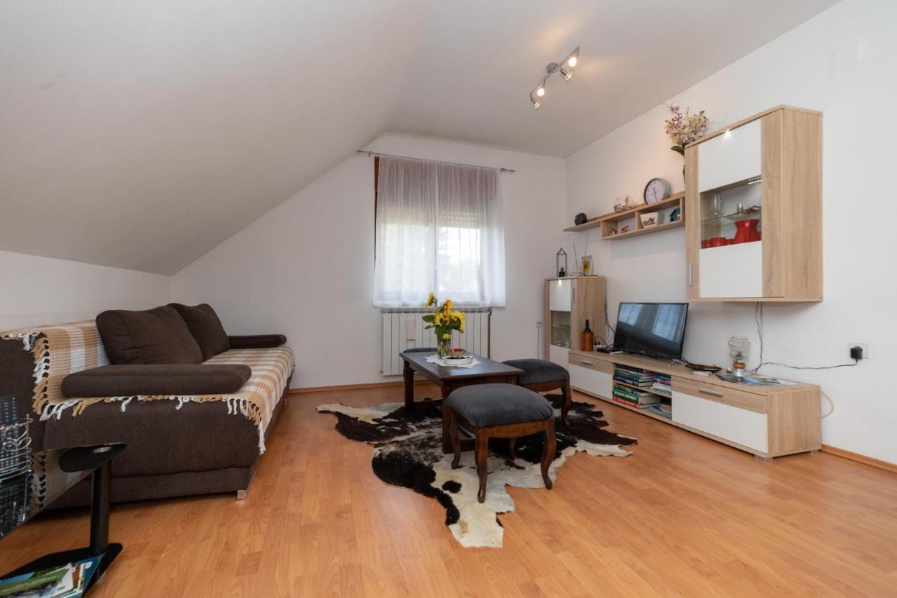 Apartament Apartman Skender 3* Ravna Gora Zewnętrze zdjęcie