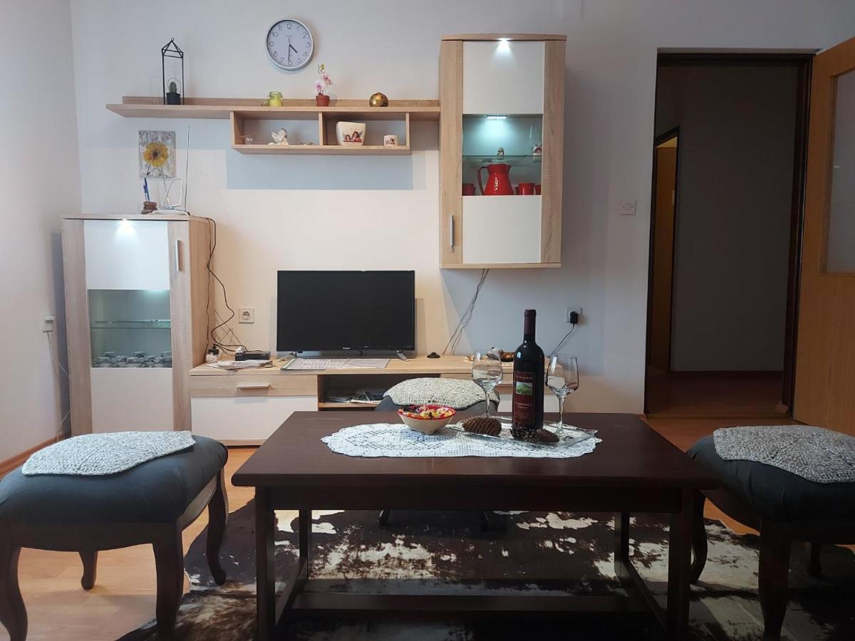 Apartament Apartman Skender 3* Ravna Gora Zewnętrze zdjęcie